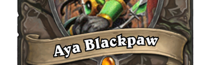 aya-blackpaw